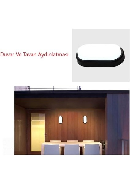 20W Oval Siyah LED Nem Su Geçirmez Banyo Bahçe Teras Kiler Garaj Modern Tavan Lambası LED Lamba 6500K Beyaz Işık IP64 LED fiyatları