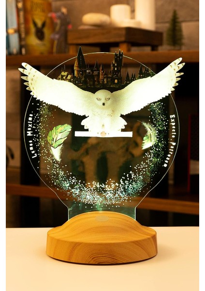 Potter Hediyesi Hogwarts Hedwig 3D LED Lamba, Hediye Baykuş Gece Lambası