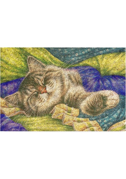 Tasarımlı Dekoratif Kapı Önü Paspas, Dış Mekan/ev Içi/banyo/mutfak/yatak Odası/giriş Paspasları (Pastel Boyama Cat, 45 x 70)