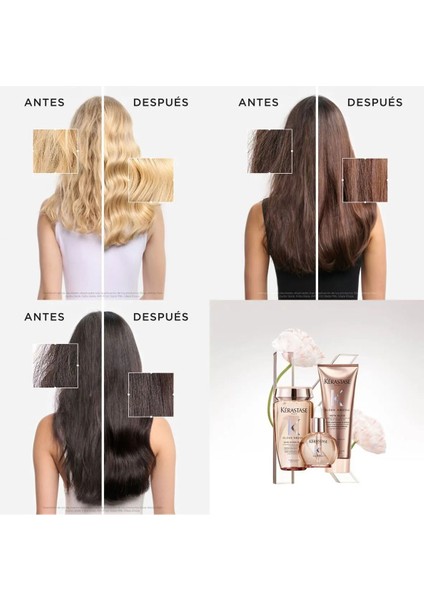 Gloss Absolu Shampoo, Conditioner and Oil Trio With Wild Rose