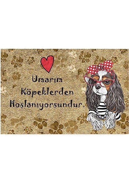 Tasarımlı Dekoratif Kapı Önü Paspas, Dış Mekan/ev Içi/banyo/mutfak/yatak Odası/giriş Paspasları (Umarım Köpeklerden Hoşlanıyorsundur, 45 x 70)