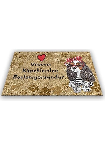 Tasarımlı Dekoratif Kapı Önü Paspas, Dış Mekan/ev Içi/banyo/mutfak/yatak Odası/giriş Paspasları (Umarım Köpeklerden Hoşlanıyorsundur, 45 x 70)