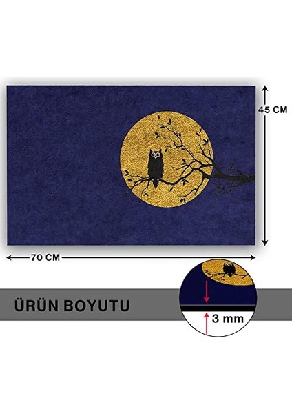 Tasarımlı Dekoratif Kapı Önü Paspas, Dış Mekan/ev Içi/banyo/mutfak/yatak Odası/giriş Paspasları (Baykuş Mavi, 45 x 70)