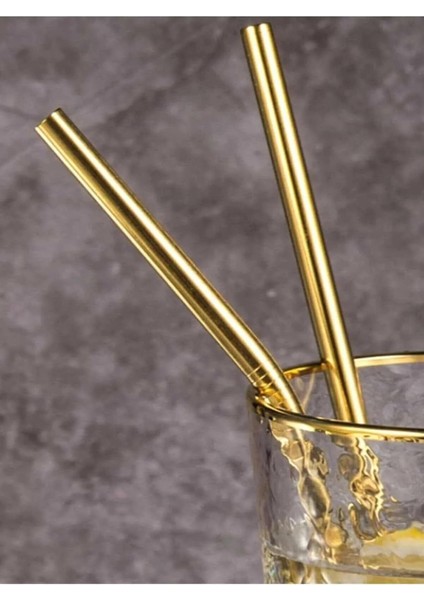 Home 2'li Gold Paslanmaz Çelik Pipet, Temizleme Fırçası, Metal Pipet