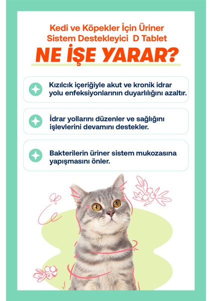 Urinary+D Tablet ( Kedi ve Köpekler Için Üriner Sistem Desteği)