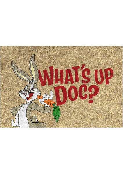 Tasarımlı Dekoratif Kapı Önü Paspas, Dış Mekan/ev Içi/banyo/mutfak/yatak Odası/giriş Paspasları (Whats Up Doc, 45 x 70)