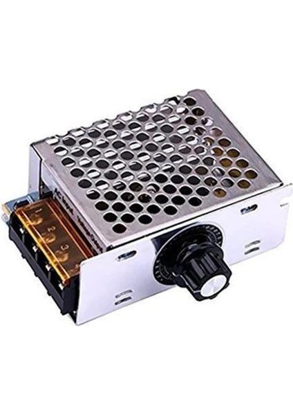 Ac 220V 4000W - Di mmer Koruma Kasalı