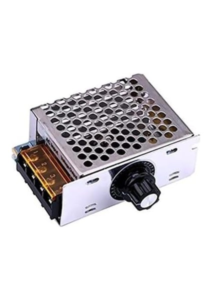 Ac 220V 4000W - Di mmer Koruma Kasalı