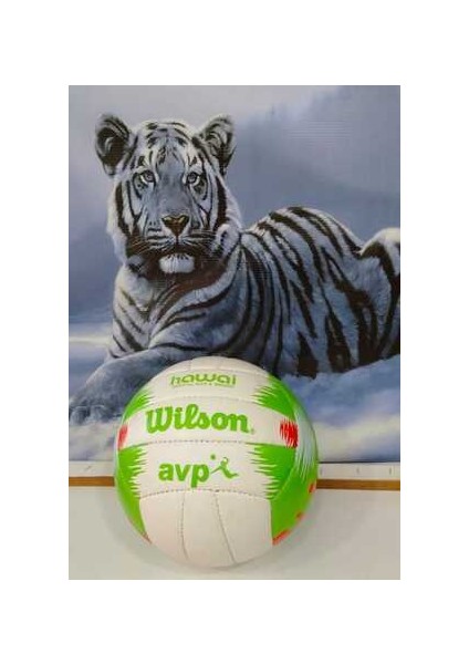 Voleybol Topu