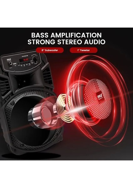 Taşınabilir Bluetooth Pa Hoparlör SISTEMI-300W