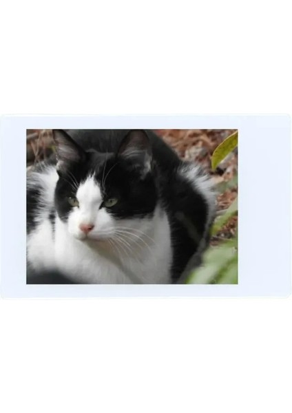 Instax Mini Anında Film 10 Pack (200 Sheets Total) indirimleri