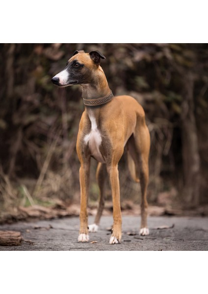 El İşçiliği Hakiki Deri Köpek Tasması