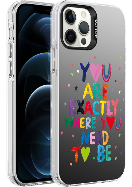 Apple iPhone 12 Pro Max Kılıf Desenli Zore Silver Sert KAPAK-YOU-8680436704493-NOİR92111