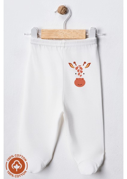 Unisex Bebek Penye Organik Pamuklu Figür Baskılı 0-6 Ay Patikli Bebek Tek Alt 6'lı Set