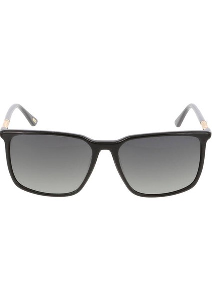 3532 59 16 143 01 Kadın Güneş Gözlüğü fiyatları