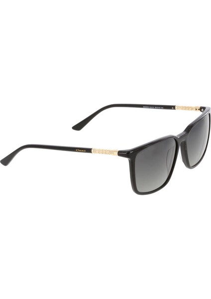 3532 59 16 143 01 Kadın Güneş Gözlüğü fırsatları