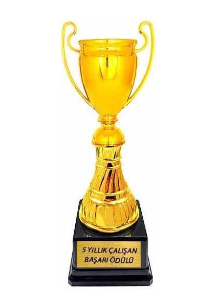 Şampiyonlar Ligi Ödül Kupası (Yazı Dahil)