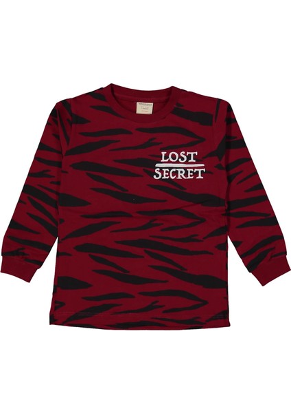 Erkek 2/5 Yaş Lost Secret Nakışlı Zebra Desen Sıfır Yaka Sweat