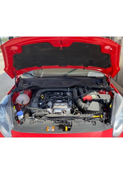 2017-2023 Ford Fiesta Kaput Amortisörü Kiti- Set