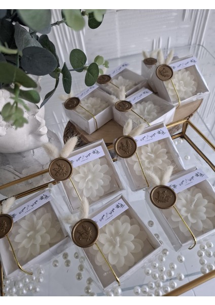 20 Adet Asetat Kutuda Beyaz Lotus Mum