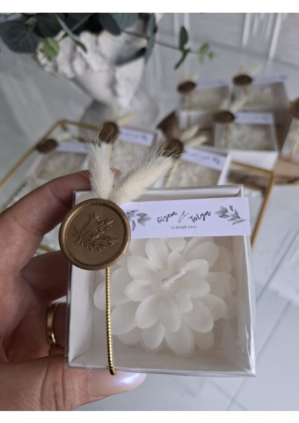 20 Adet Asetat Kutuda Beyaz Lotus Mum
