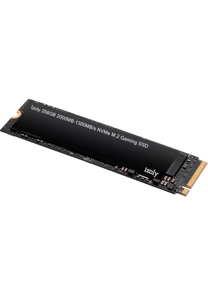 256GB 2000MB-1300MB/s nVME M.2 PCI-Express 3.0 SSD