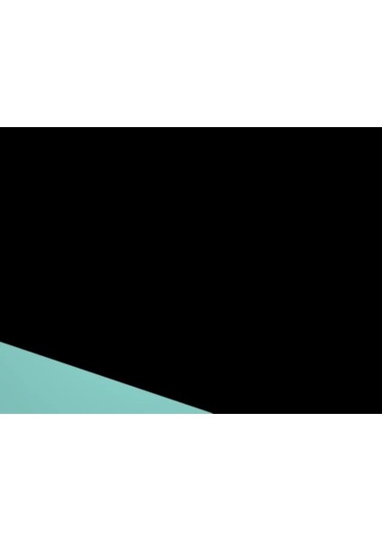 Sakal & Bıyık Boyası Koyu Kahve Siyah fiyatları