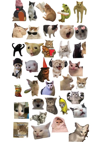 Komik Kedi, Kediler, Funny Sticker, Çıkartma, Ajanda, Günlük, Planlayıcı, Bullet Journal , Scrapbook
