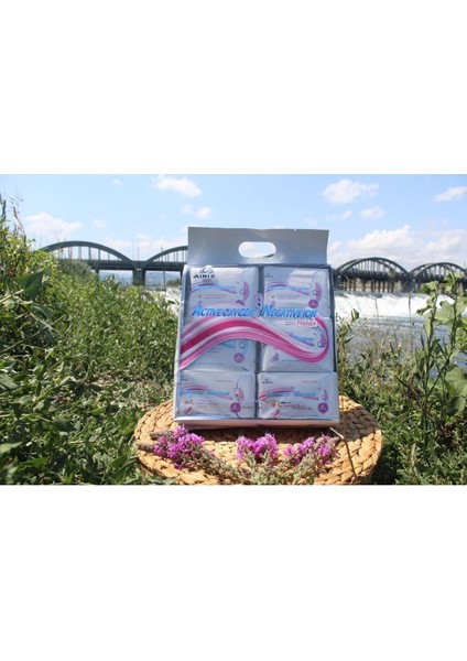 Hijyenik Kadın Pedi Seti 98 Adet