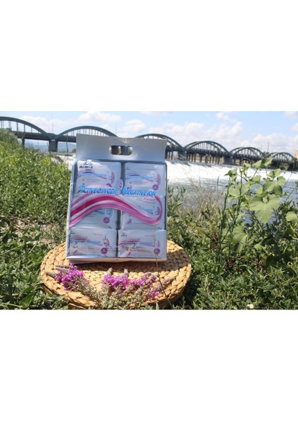 Hijyenik Kadın Pedi Seti 98 Adet modelleri