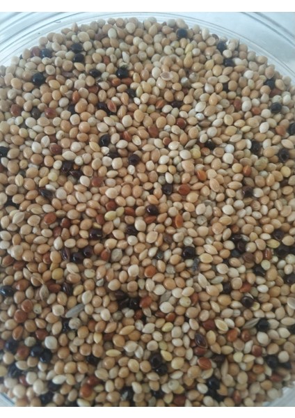 Muhabbet Kuşu Yemi (1kg) Ak,sarı, Siyah, Kızıl Darı Karışım. Çift Elenmiş Tozsuz, Temiz, Yeni Mahsul(1kg)