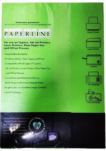 Paperline 160 gr Papağan Yeşili 250 Yaprak Renkli Fotokopi Kağıdı fiyatları