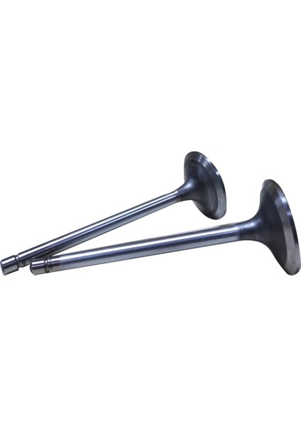 Emme Subap Kalın (4784888-K)