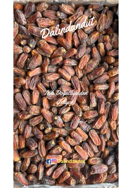 Yeni Mahsul Doğal Organik Medine Hurması (Mebrum) 500 gr