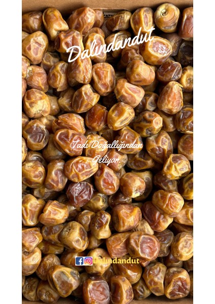 Yeni Mahsul Doğal Organik Yaş Hurma (Sukkari) 500 gr