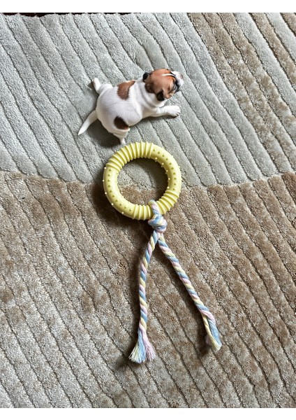 Dayanıklı Silikon Köpek Diş Kaşıyıcı ve Çiğneme Oyuncağı, Küçük-Orta-Büyük Irklar İçin Uygun fiyatları