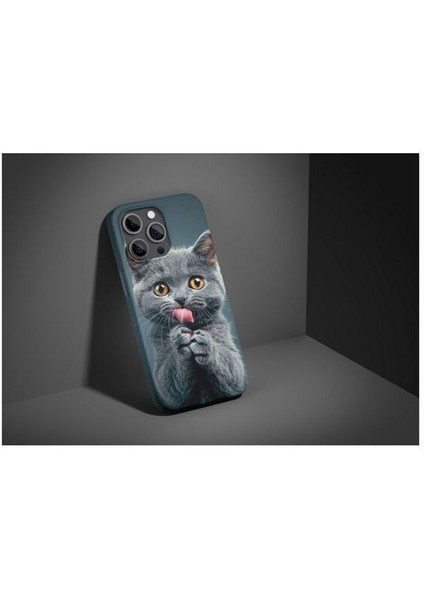 Kedi iPhone Tüm Modellere Uyumlu Kılıf iPhone 6,7,8,x,11,12,13,14,15,16 Plus