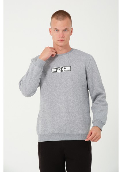 3 Iplik Şardonlu Regular Fit Baskılı Sweatshirt Gri