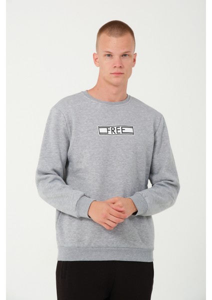 3 Iplik Şardonlu Regular Fit Baskılı Sweatshirt Gri fırsatları