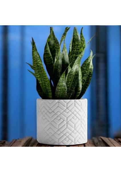 3dluxe Desenli Vazo / Dekoratif / Özel Tasarım