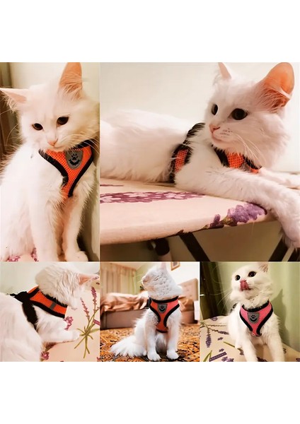 Kedi Köpek İçin Yansıtıcılı Ve Hava Alan Göğüs Tasması - Kayış Set modelleri