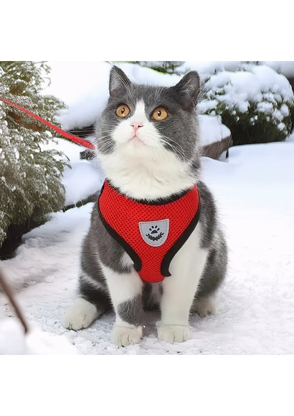 Kedi Köpek İçin Yansıtıcılı Ve Hava Alan Göğüs Tasması - Kayış Set fırsatları