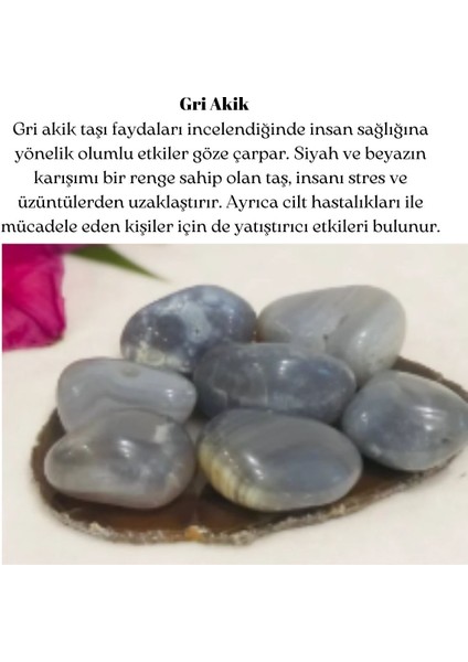 Anka Mücevherat 925 Ayar Gümüş Zincirli Kelebek gri Akik Taşlı Kolye Doğal Taş Kolye Gümüş Kolye fırsatları