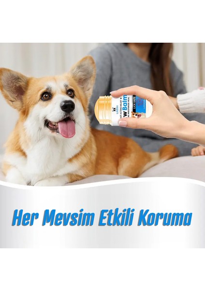 Kedi Köpek İçin Pati Ve Burun Nemlendirme Kremi fiyatları