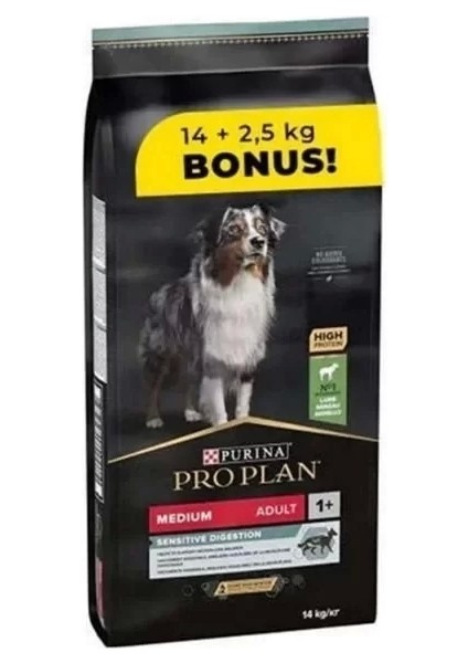 Adult Kuzu Etli Yetişkin Köpek Maması 16.5 kg