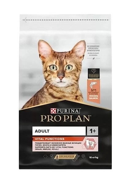 Adult Somonlu Yetişkin Kedi Maması 10 kg