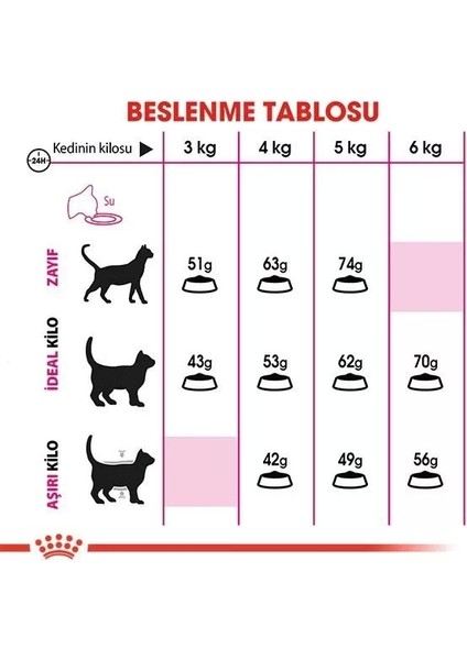 Exigent Savour Seçici Yetişkin Kedi Maması 2 kg