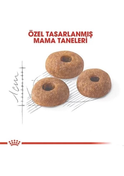 Fit 32 Yetişkin Kedi Maması 15 kg