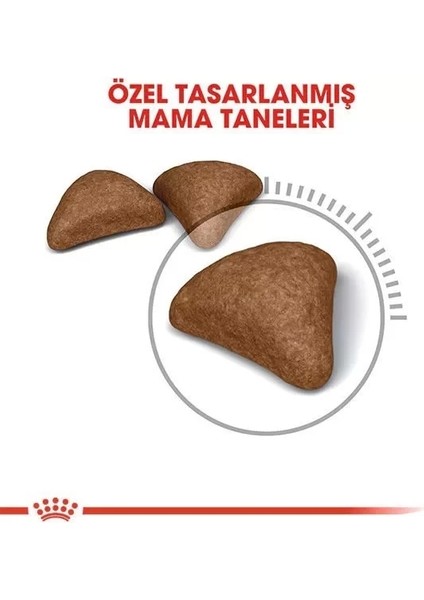 Hairball Tüy Yumağı Önleyici Yetişkin Kedi Maması 2 kg