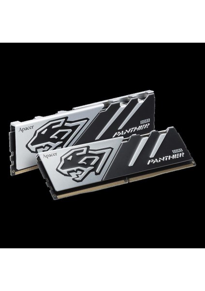 1X16GB 6000MHZ Ddr5 (AH5U16G60C6227BAA-1)